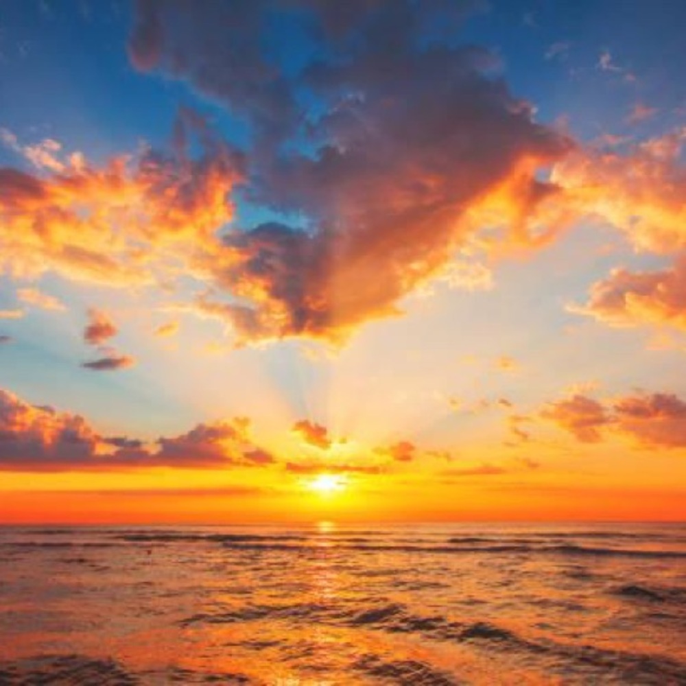 Meet your Posher, Gymlife